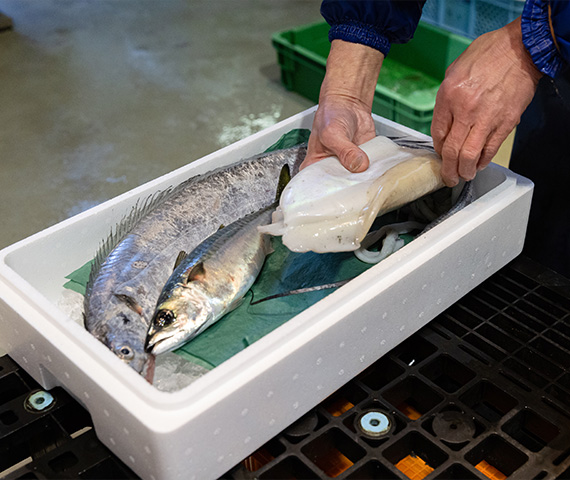 有田鮮魚店が目利きしたおまかせBOXを販売